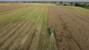 Collection of rapeseed, aerial view Stock Footage 85613391