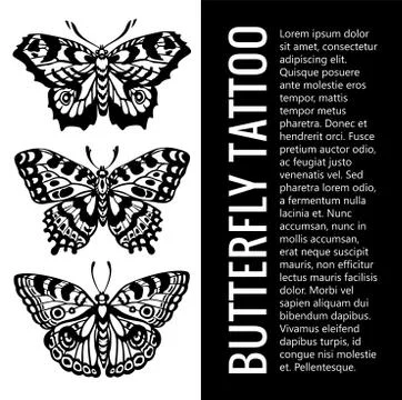 Collection of realistic vector butterflies Stock Illustration