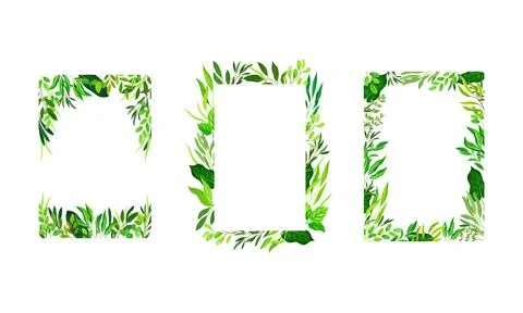 Collection of rectangular frames made of leaves. Green elegant natural borders Stock Illustration