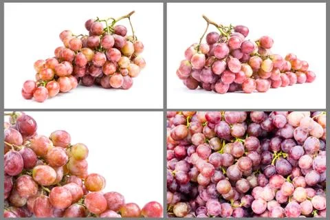 Collection of ripe grape fruit Stock Photos