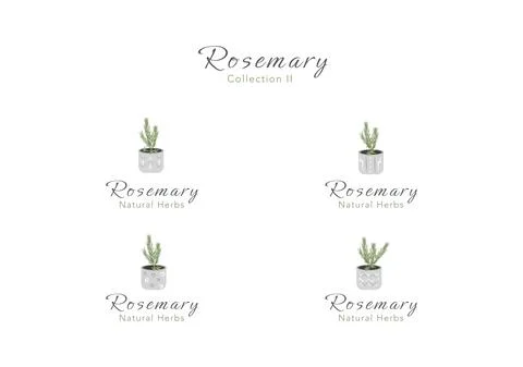 The collection of rosemary tiny tree in a clay pot vector ep02 Stock-Illustration