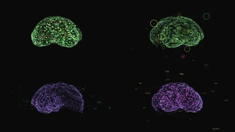 Collection rotation human brain template artificial intelligence at cyberspace Stock Footage 189568124