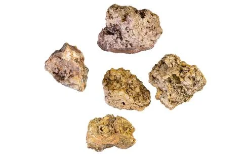 Collection of rough, textured mineral specimens on a white background Stockfoto's