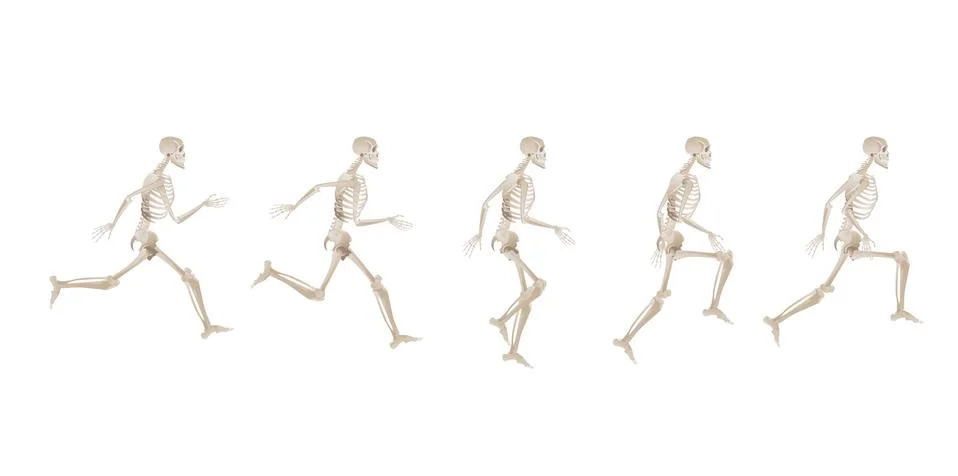 Collection of running human skeletons Stock Illustration