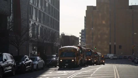 Collection of school buses parked in bustling urban setting filled with activity Vídeo Stock 291635154