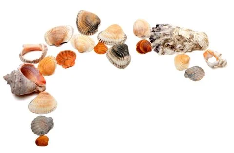 Collection of seashells with copy space Stock Photos