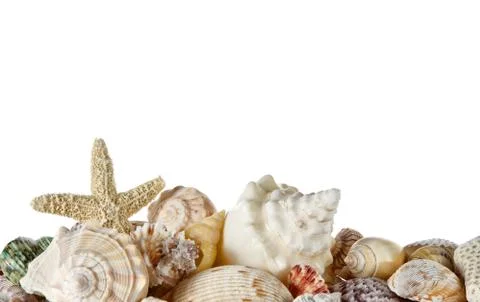 Collection of seashells Stock Photos