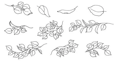 Collection set of foxes and forest branches, grass leaves in a linear style Stock Illustration
