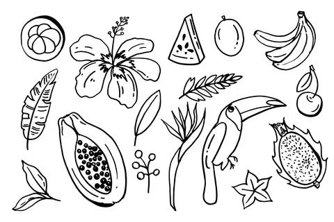 Collection set of hand drawn outlined summertime fruit item objects doodles Stock Illustration