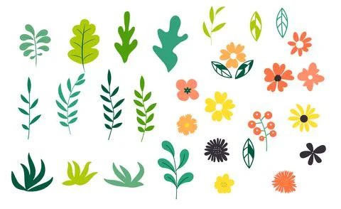 Collection Set of Simple Flower and Leaves Design Elements. Vector Illustrati Stock Illustration