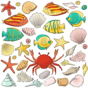 Collection with shell, starfish, fish, stone. Vector set for design in sea beach 스톡 일러스트