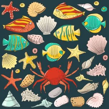 Collection with shell, starfish, fish, stone. Vector set for design in sea beach Stock Illustration