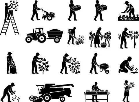 Collection of Silhouette Illustrations Representing Various Agricultural Fa.. 스톡 일러스트