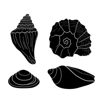 Collection of silhouette seashells different forms. Marine set. Hand-drawn ve 스톡 일러스트