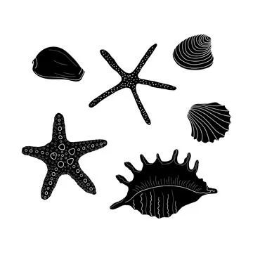Collection of silhouette seashells different forms. Hand-drawn vector illustr Stock Illustration