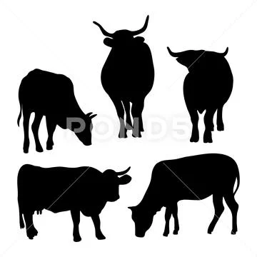 Collection silhouettes of cattle. Domestic farm animals - bull, cow and ...