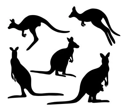 Collection silhouettes kangaroo. Vector illustration. Isolated hand drawing.. Stock Illustration
