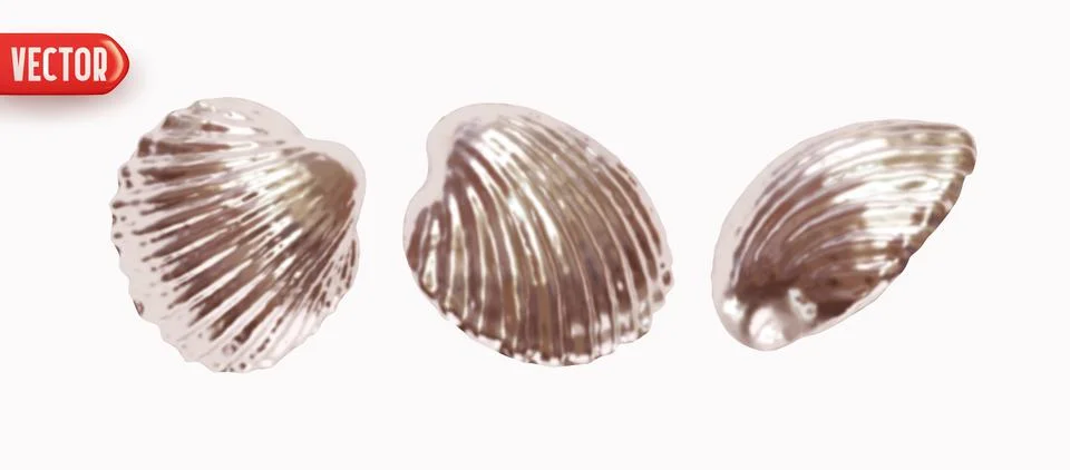 Collection silver Shell scallop. Set of Scallop seashell closed shapes of o.. Stock Illustration