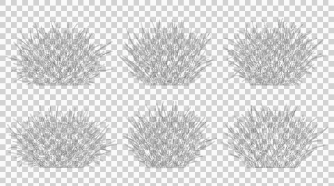 Collection of six dense grass bushes in elevation view isolated Stock Illustration