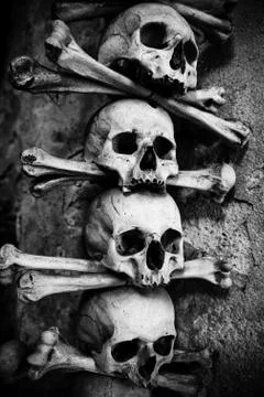Collection of skull and bones Stock Photos