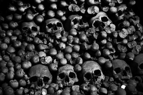 Collection of skull and bones Stock Photos