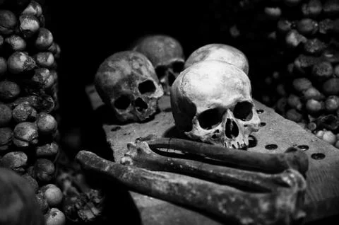 Collection of skull and bones Stock Photos