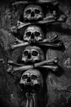 Collection of skull and bones Stock Photos