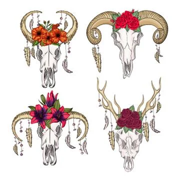 Collection of skulls of wild animals with feathers and flowers swestern mystical Stock Illustration