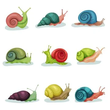 Collection of snails of different shell colours vector Illustrations isolated on イラスト素材