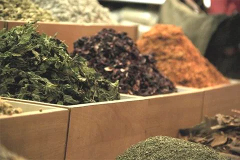 Collection of spices Photos
