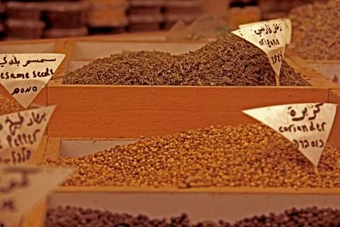 Collection of spices Stock Photos