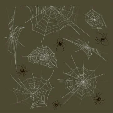 Collection of spiders and webs Illustrazione stock
