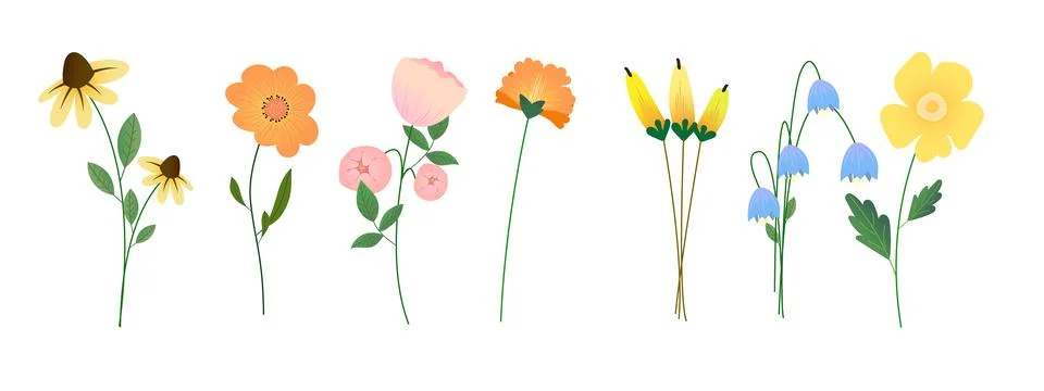 Collection of spring colorful flower elements vector. Set floral of wildflower Illustrazione stock