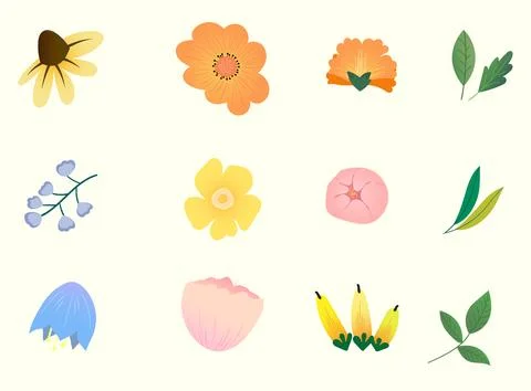 Collection of spring colorful flower elements vector. Set floral of wildflower Illustrazione stock