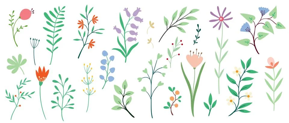Collection of spring colorful flower elements vector. Stock Illustration