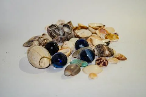 Collection of stones and shells Stock Photos