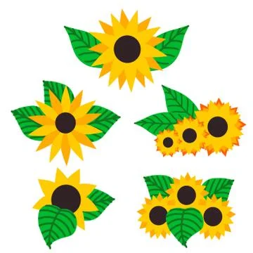 The collection of sunflower elements. Sunflowers set in flat vector style. il 스톡 일러스트