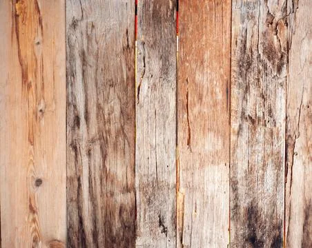 The collection of Surface eroded Old red woods Stock Photos