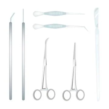 Collection of Surgical Instruments on White Background Stock Illustration