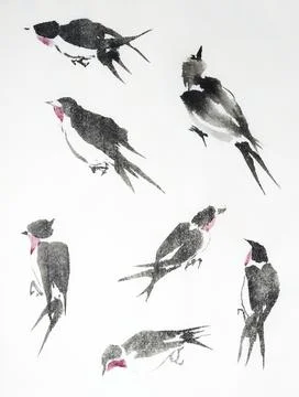 Collection of swallows in various elegant poses are rendered with delicate .. Stock Illustration