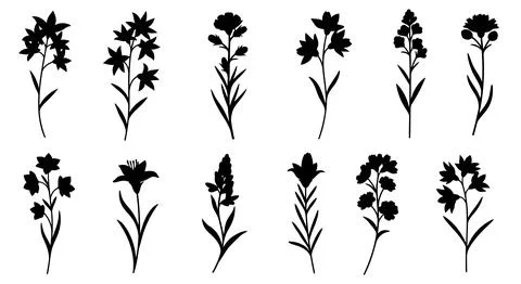 A collection of ten different black flower silhouettes Stock Illustration