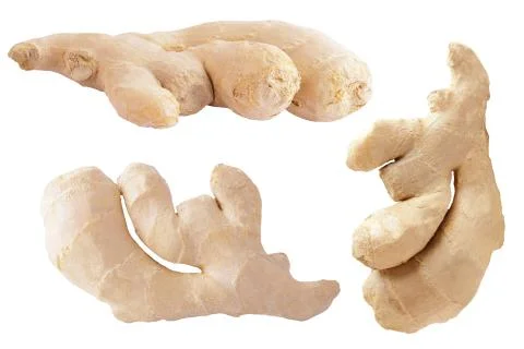 Collection of three ginger root isolated on white Stock Photos