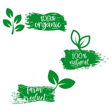 A collection of three green ecological emblems with textured brush strokes .. Stock Illustration