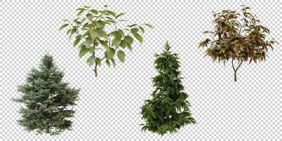 Collection of Top View Small Trees Stock Photos