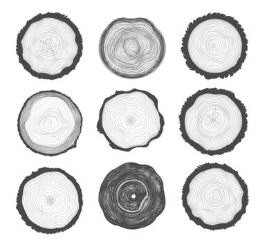 Collection of Tree Rings Stock Illustration