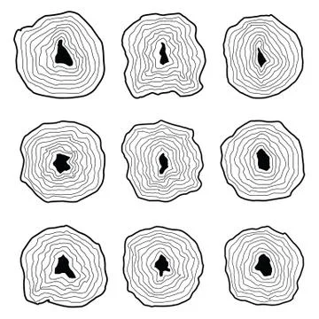 Collection of tree rings. Stock Illustration