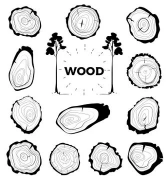 Collection of tree-rings. Set a cross section of the trunk with tree rings 스톡 일러스트