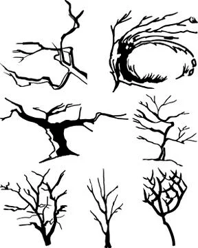 Collection of tree silhouettes Stock Illustration