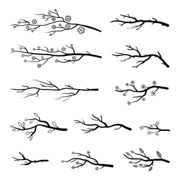 Collection of tree twigs and branches. Stock Illustration
