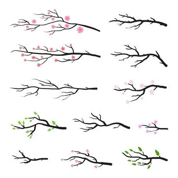 Collection of tree twigs and branches. Stock Illustration